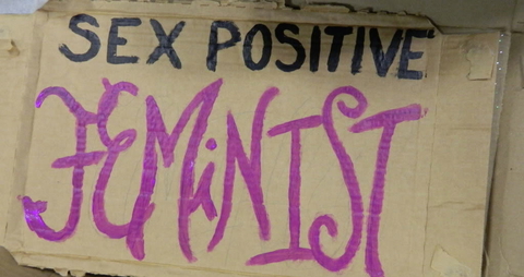 [Image source: http://sexandthestate.com/wp-content/uploads/2013/11/sex-positive-feminism.jpg]